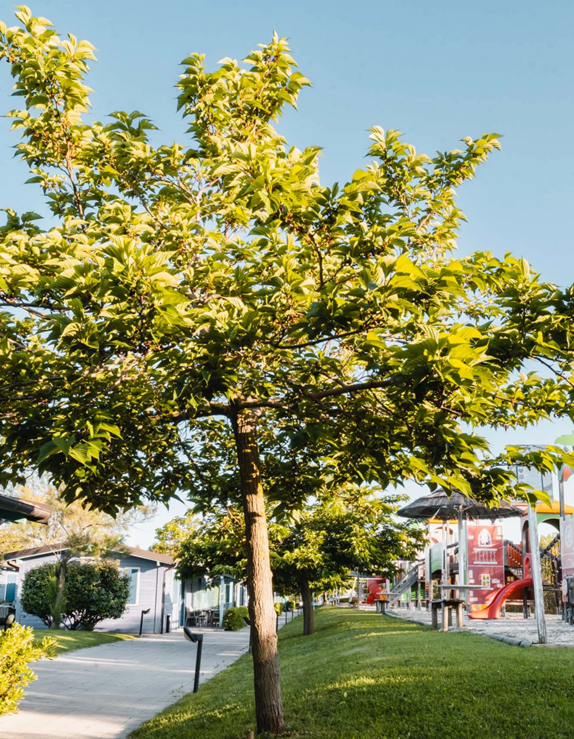 Spielplatz mit orangefarbener Rutsche und grünen Bäumen in einer Wohngegend