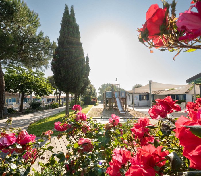 Una vacanza al mare sul Conero