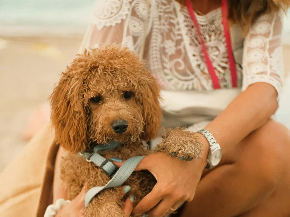 Un resort pet-friendly nelle Marche | Natural Village Resort Donna che tiene in braccio un cane riccio marrone su una spiaggia