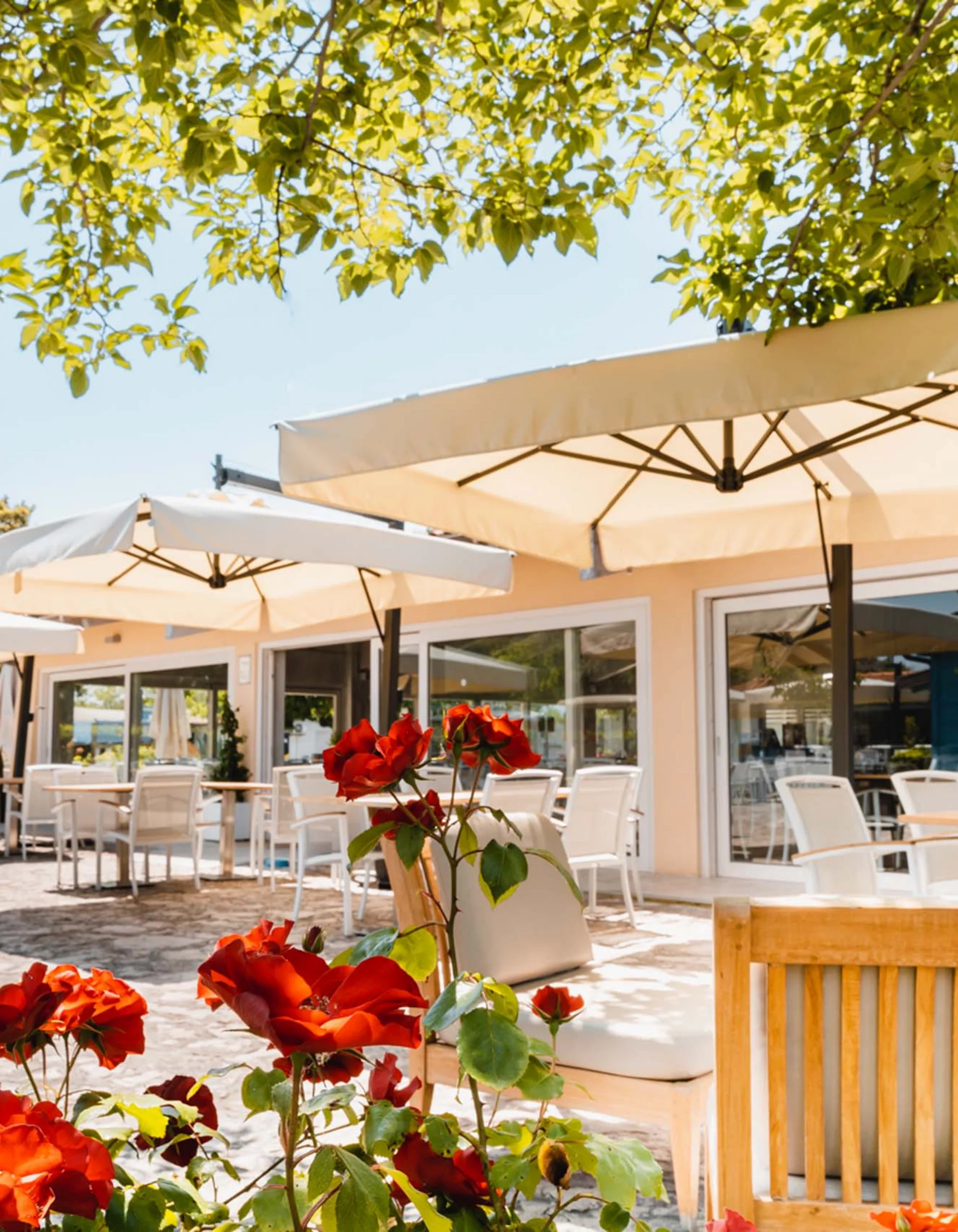 Fotos und Videos des Natural Village Resort
