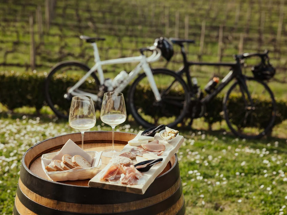 Le migliori cantine delle Marche Le migliori cantine delle Marche
