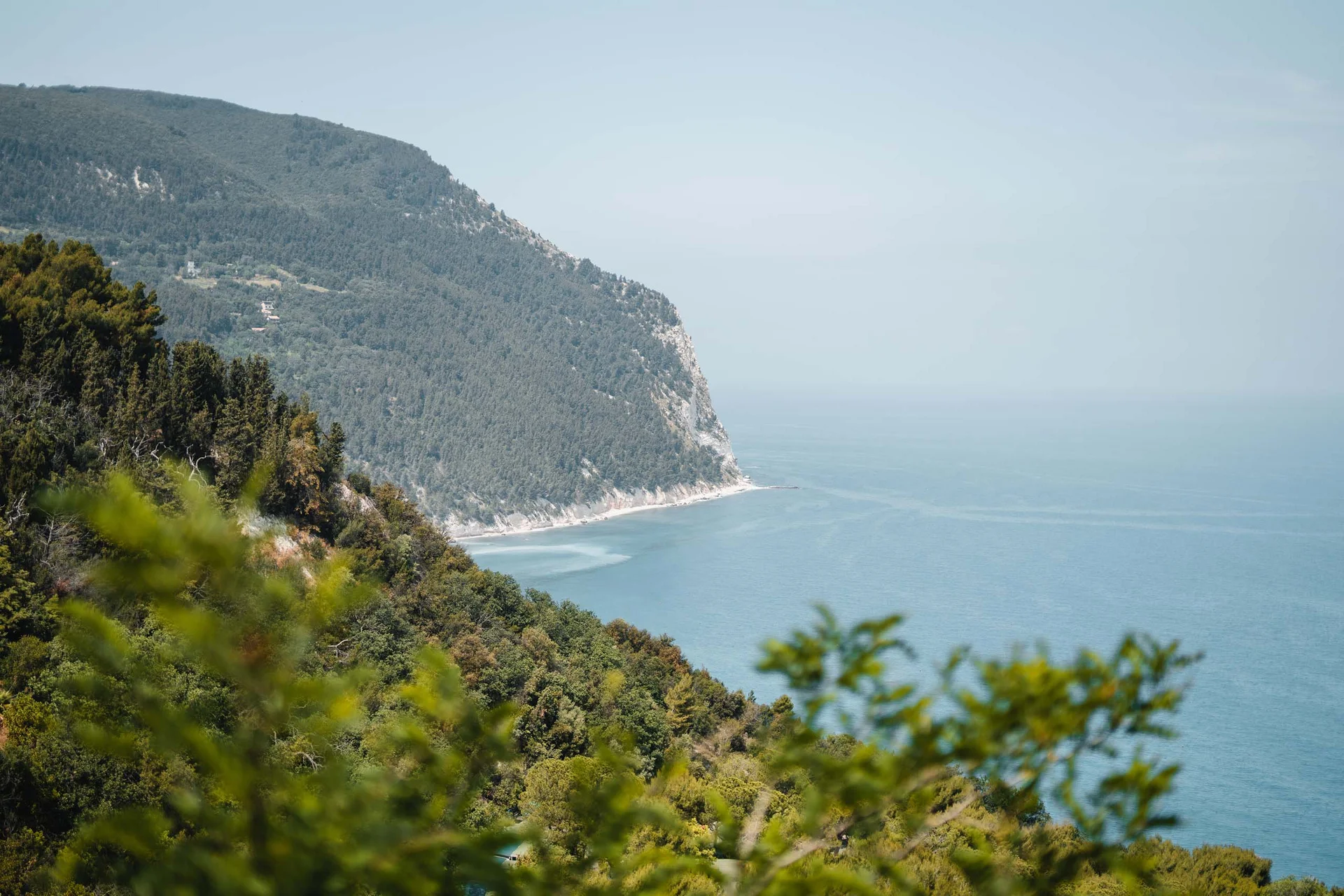 Vista della costa rocciosa con mare e vegetazione verde