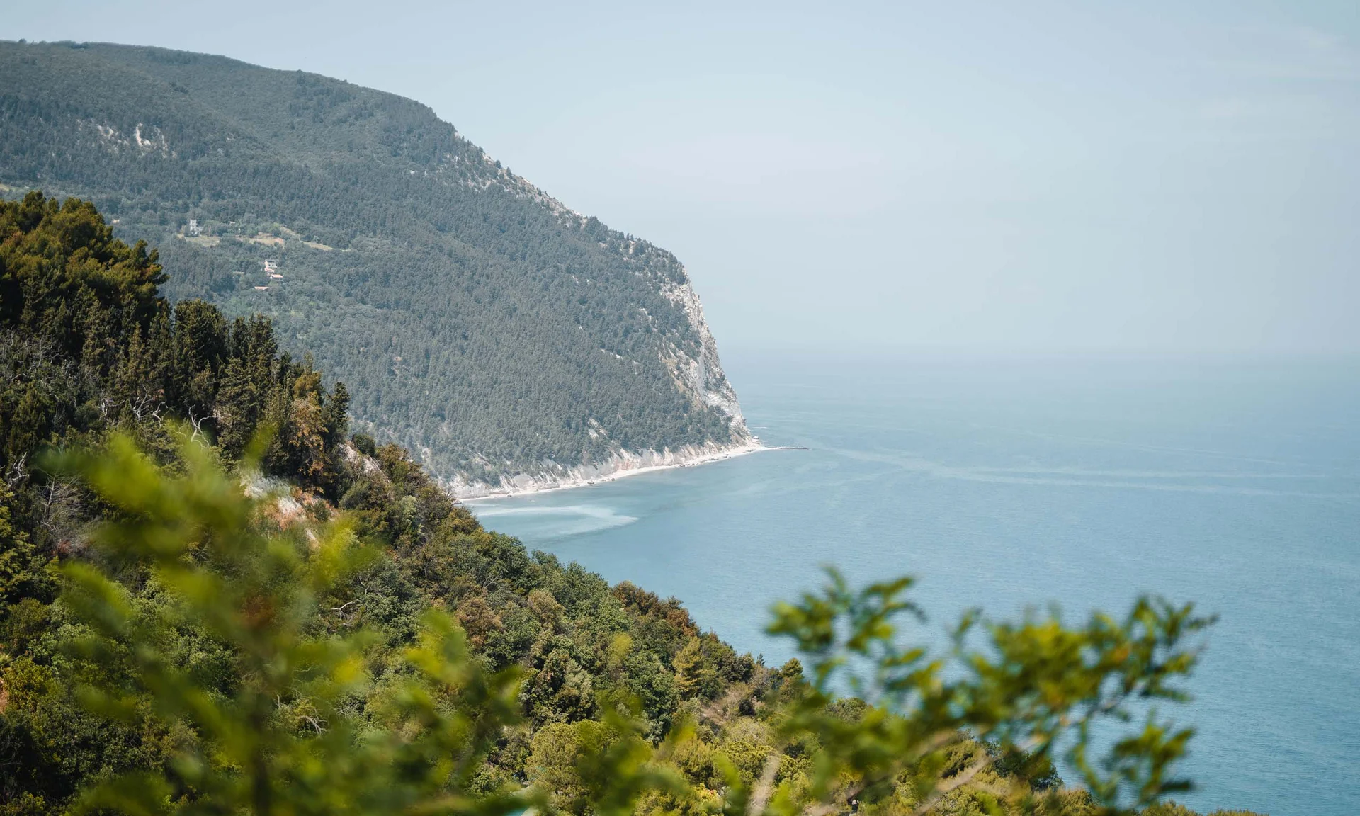 Fotos und Videos des Natural Village Resort