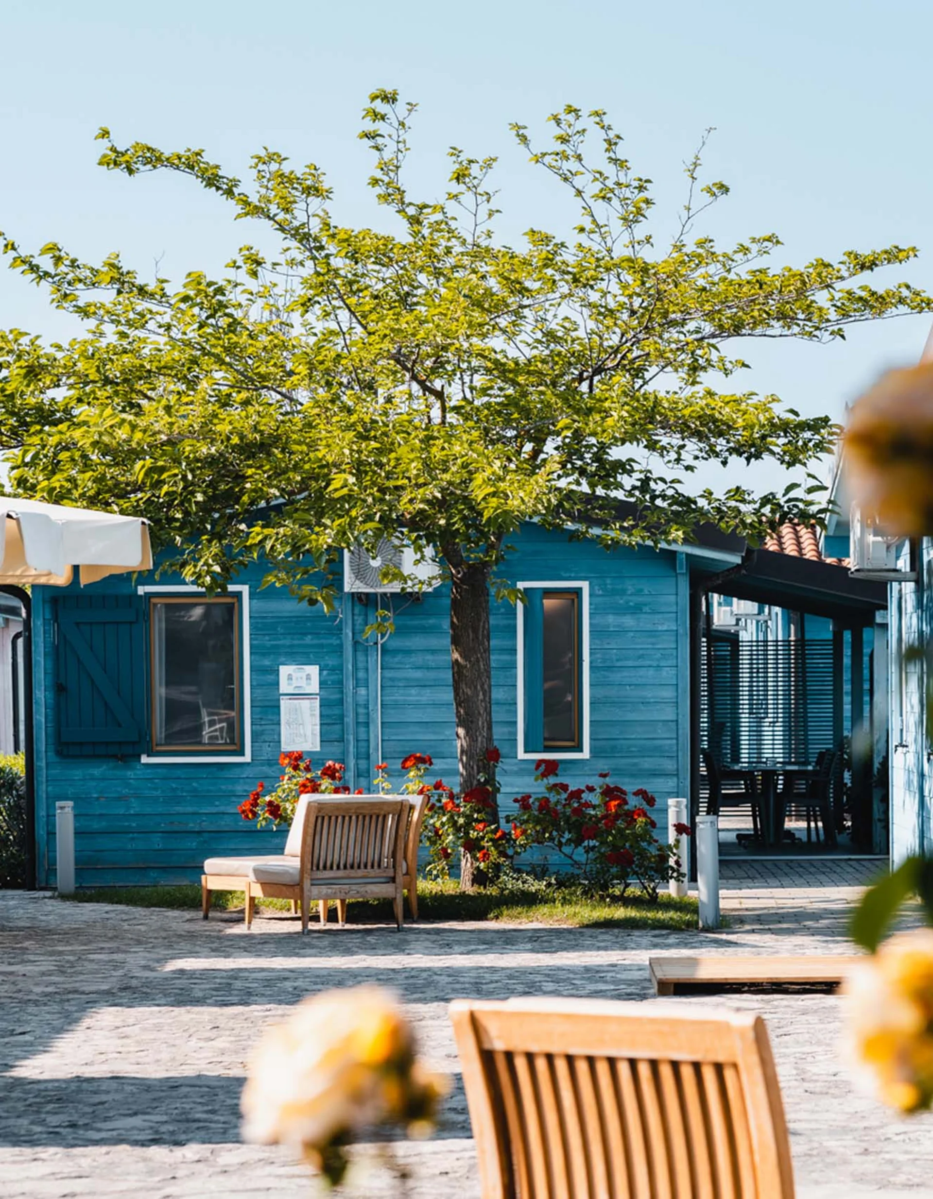 Blaue Häuser mit Bäumen und Blumen in einem sonnigen Innenhof