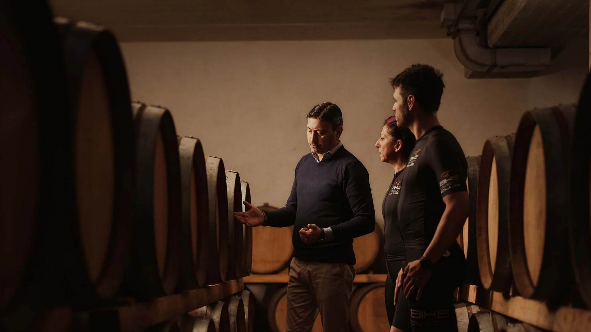 Le migliori cantine delle Marche