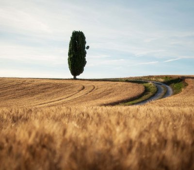 Mit dem Gravel Bike Italien erkunden