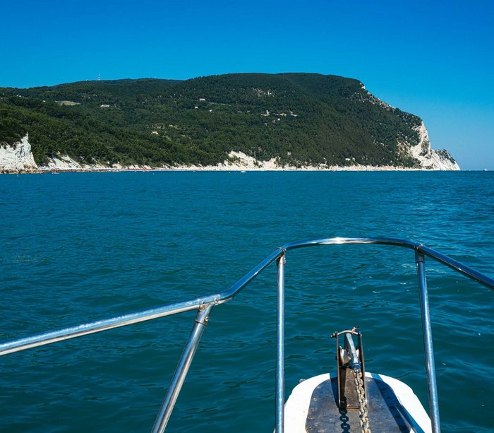 Boat trips in Conero and so much more!