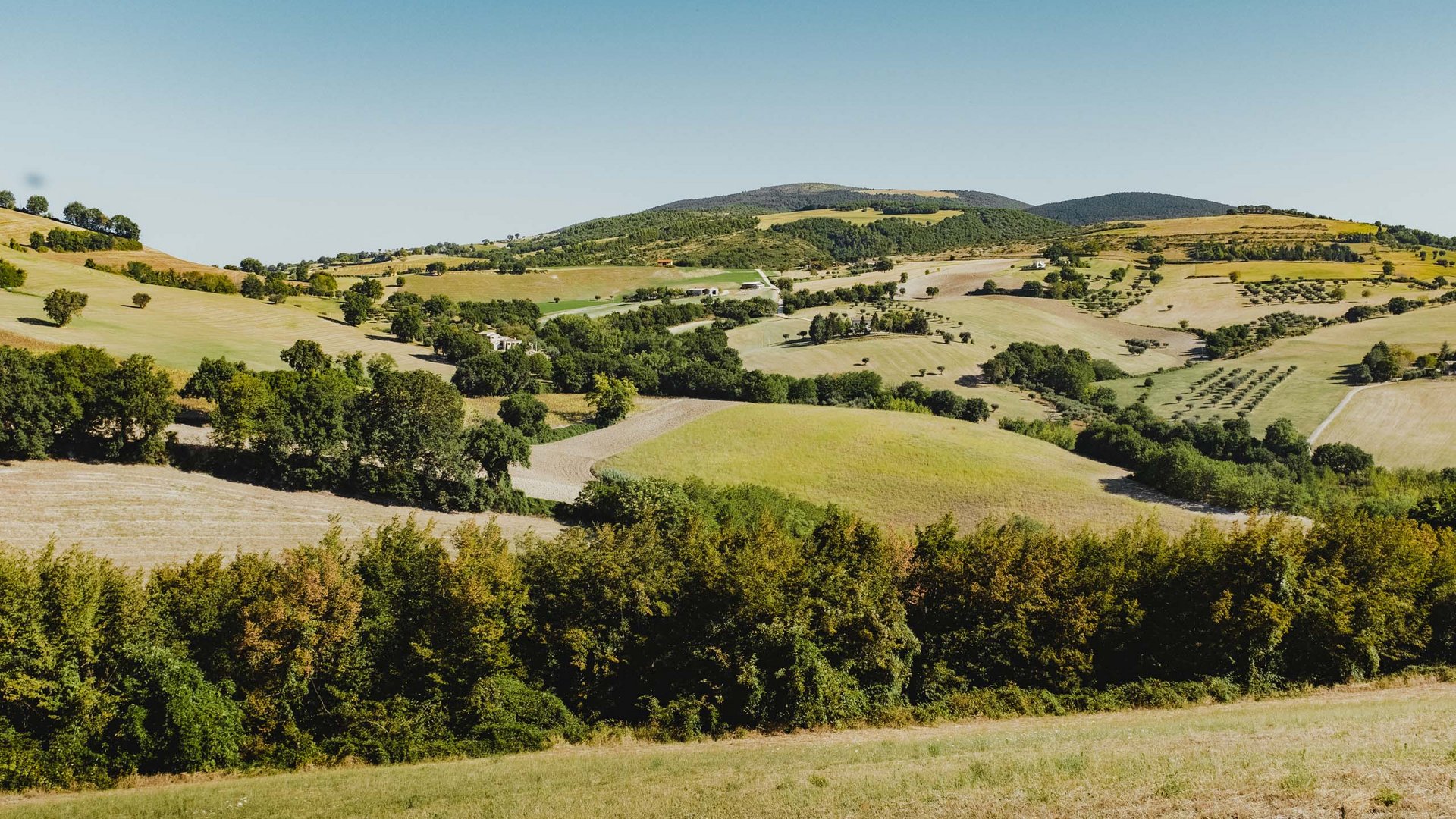 Der Naturpark Conero – und noch viel mehr