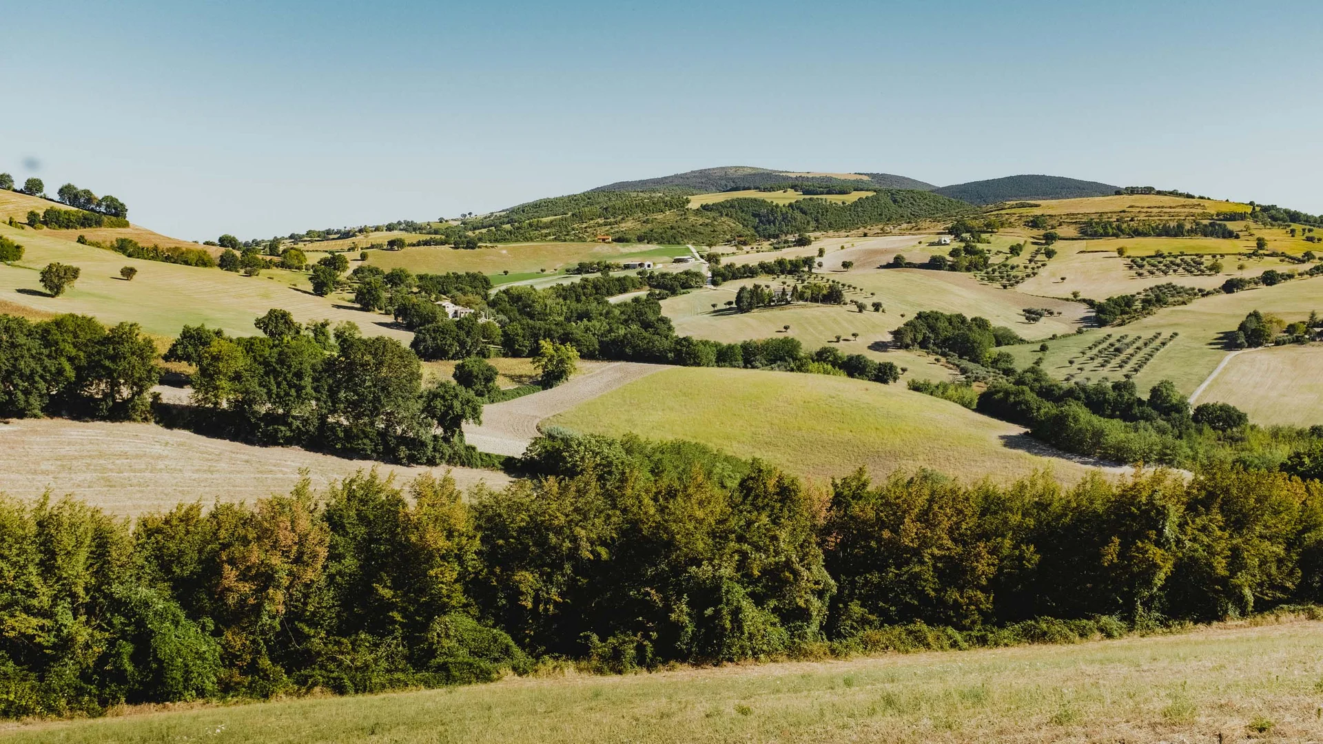 Il Parco Regionale del Conero e non solo