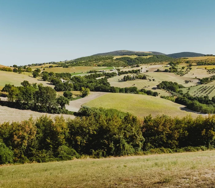 Hügellandschaft mit grünen Feldern und Bäumen unter blauem Himmel